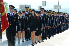 converted_TIN_2449-copy