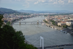 DSC_0564-01
