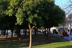 smartcapture