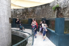 resized_20180628_110858