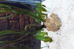 resized_20180628_113238