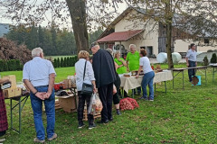 IMG20231008170434