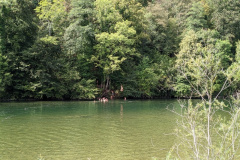 converted_PXL_20220824_094826136