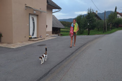 aa35981c-5665-490a-a916-bc64850b3894-copied-media~2